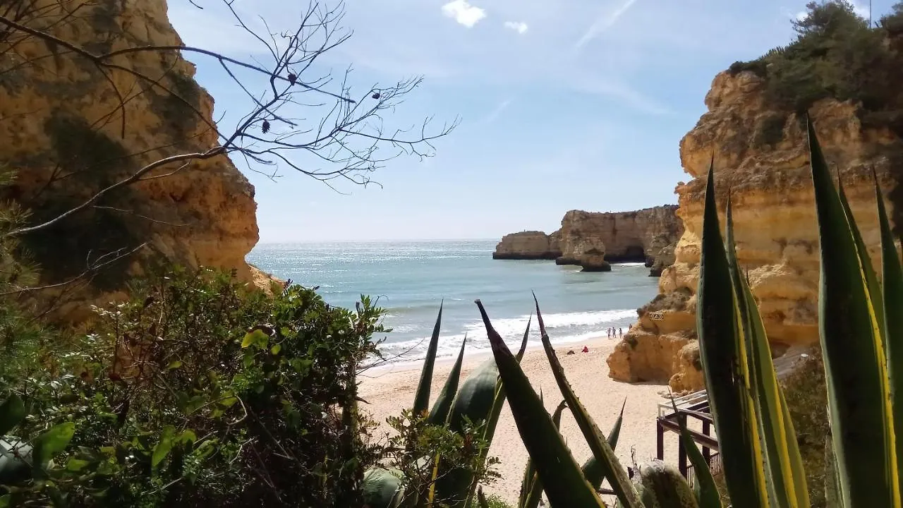 Albufeira Prime Apartment 0*,