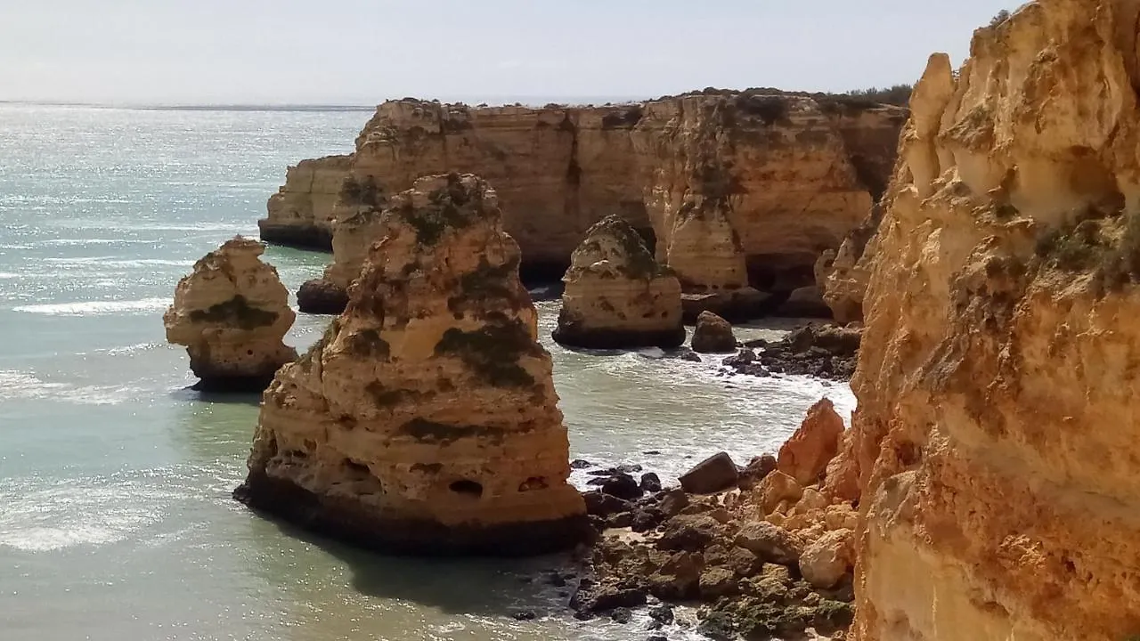 Albufeira Prime Apartment